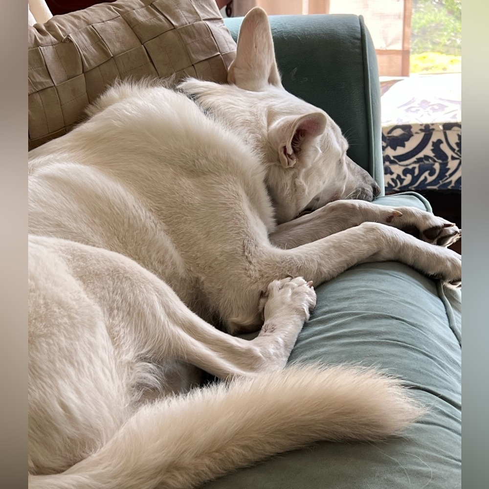 LOOKING FOR SALES! - Picture 4 of 5